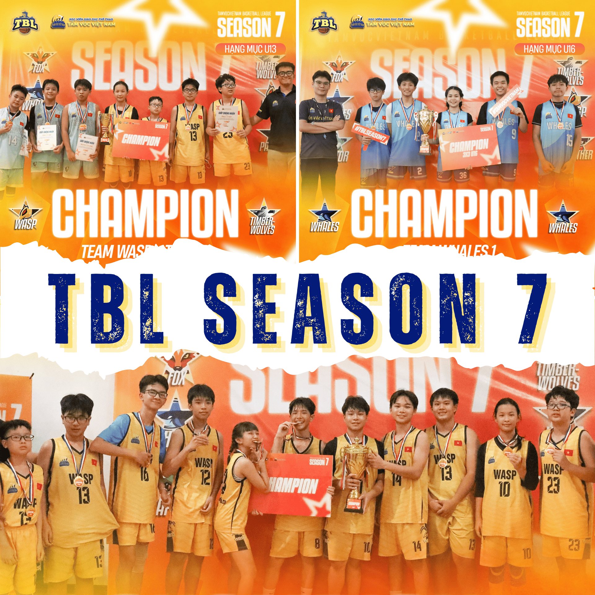 TBL Season 7